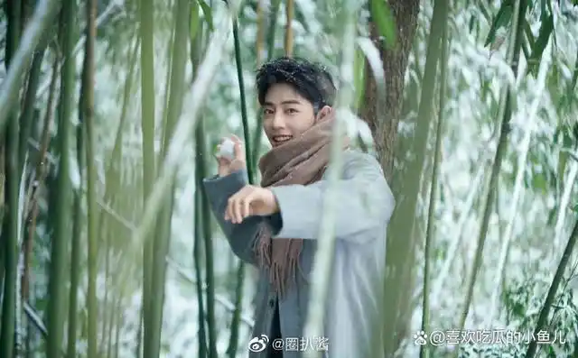 肖战竹林大片实在太好看,忍不住收藏!