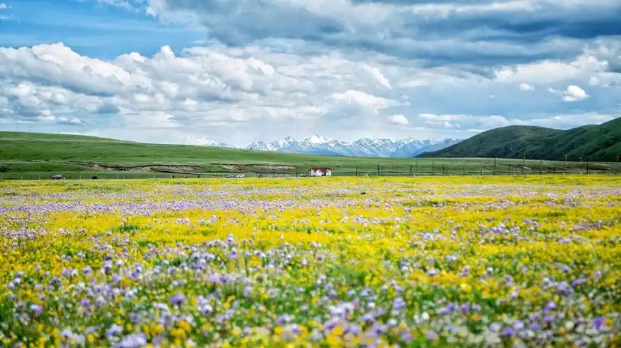 四川十大高山草甸,媲美新西兰霍比特村