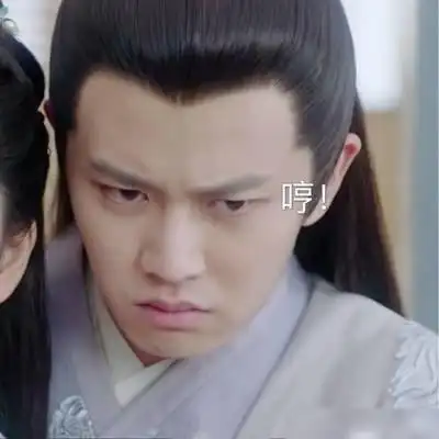 锦衣之下陆八岁表情包来袭快来抱走这么萌萌哒的陆大人