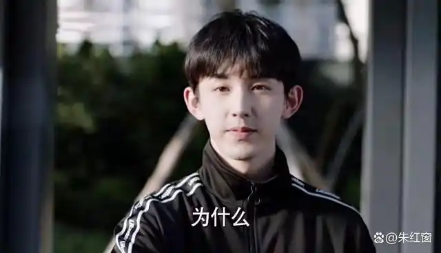 《少年派2》是由刘惠宁,李少飞导演,九枚玉编剧,张嘉益,闫妮,赵今麦