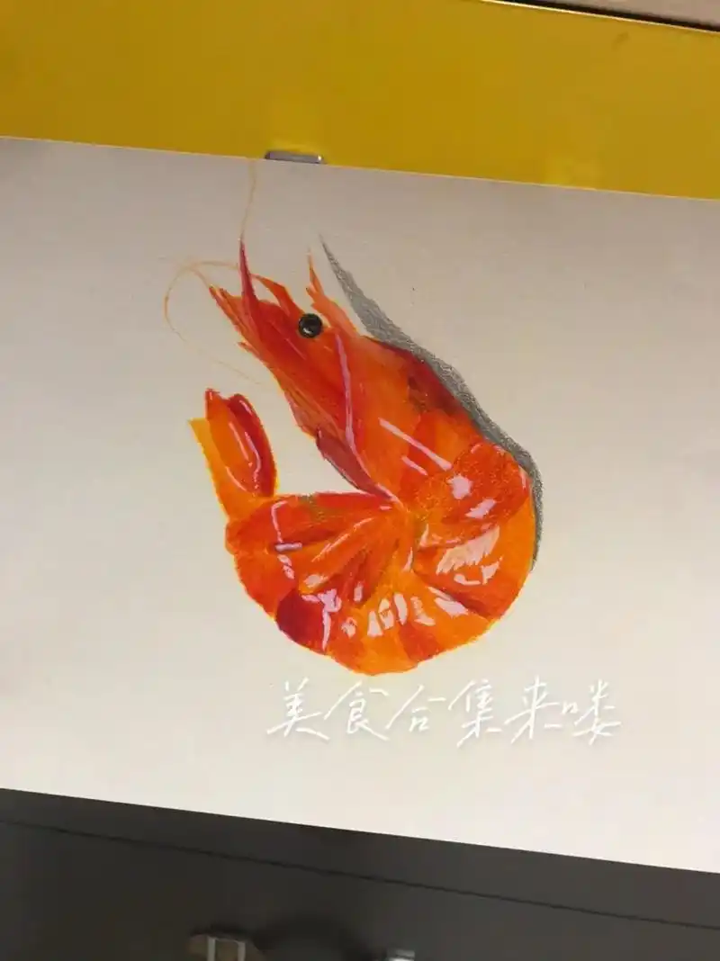 美食系列来袭!#彩铅 #手绘 - 抖音