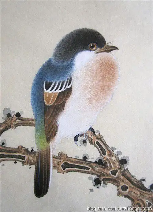 工笔画-鸟落枝头林幽静,桃花流水飞羽轻!