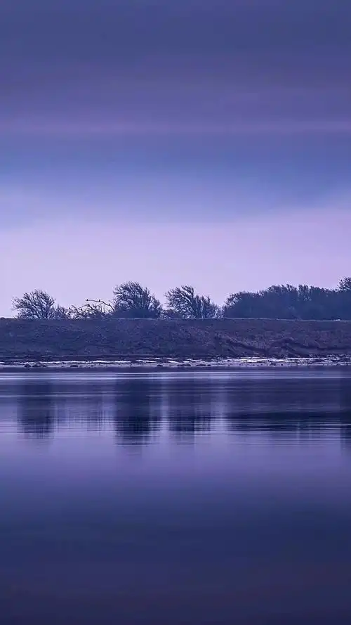 清新浪漫夜景手机壁纸_风景_手机壁纸下载_美桌网