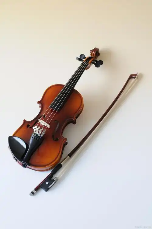 小提琴,一种弦乐器,以其独特的的声音和演奏技巧而闻名于世.