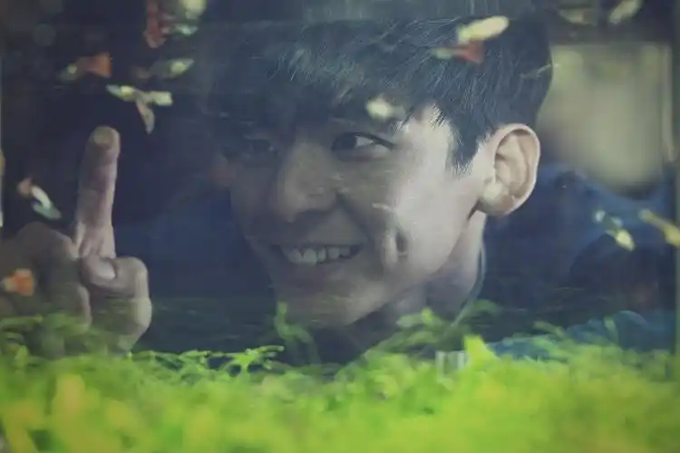 p>林柏宏,1988年1月27日出生于台湾省台北市,中国台湾影视男演员