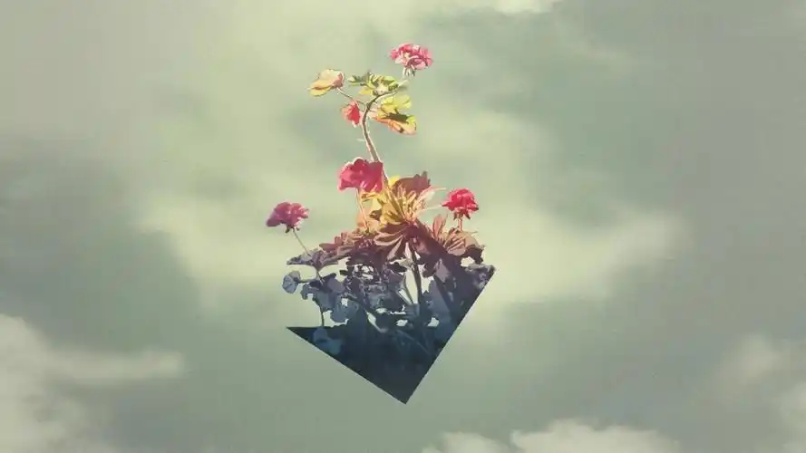 高清桌面壁纸下载 第文艺插花图片高清电脑桌面壁纸,分辨率:1920x1200