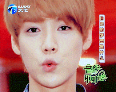 exo##朴灿烈##吴世勋##鹿晗##边伯贤##吴亦凡##张艺兴##金俊绵##街佑