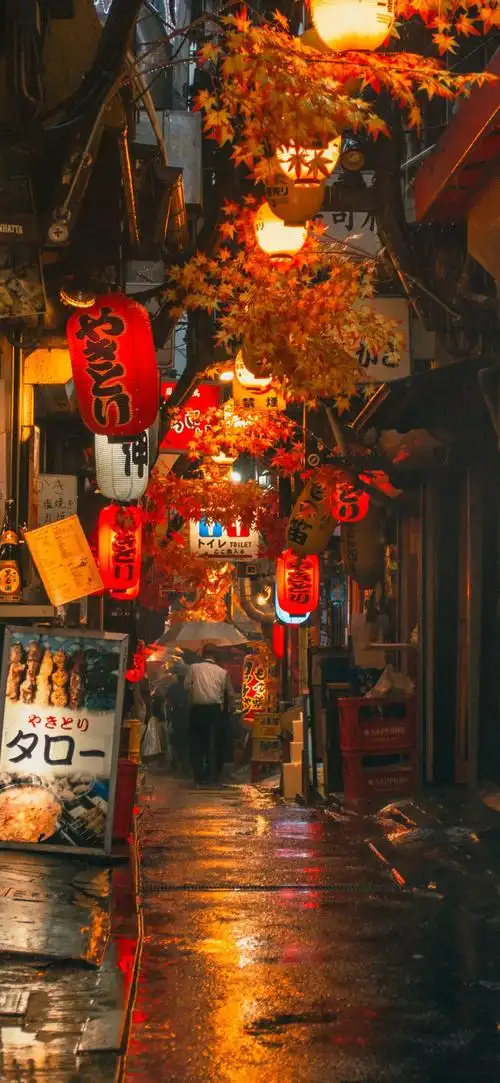 有没有类似于这种日式风格的壁纸