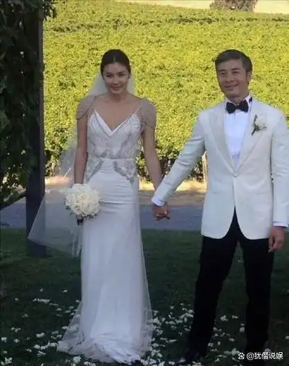 天王嫂又离婚了44岁乐基儿二度官宣离婚被曝与黎明复合