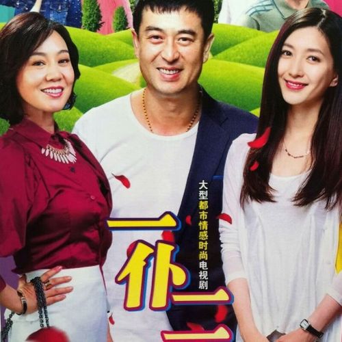 erilles一仆二主dvd碟片光盘闫妮张嘉译江疏影都市情感时尚电视连续剧