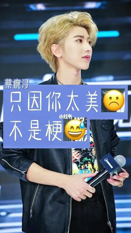 文字控  #蔡徐坤  #蔡徐坤  "只因你太美不是梗不    是他十七说哪