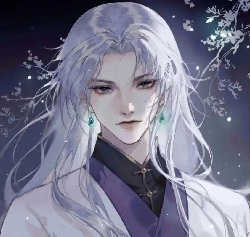 白发系列头像男生 感觉二次元世界里面的白发男神颜值都高