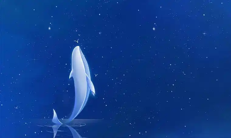 星光中,跃起向上的鲸鱼亲吻小小的飞鸟,深蓝色唯美治愈系蓝鲸主题插画