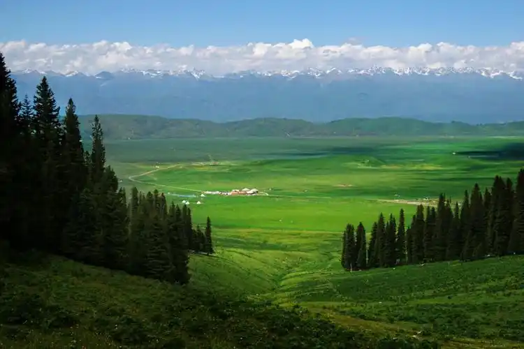 巍巍高山辽阔草原构成了如诗的画卷.