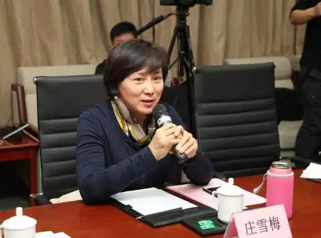 cctv新科动漫频道总监庄雪梅女士在研讨会上发言