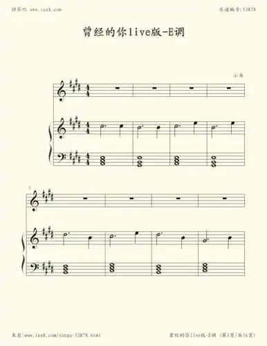 钢琴谱:曾经的你(许巍live版)-e调