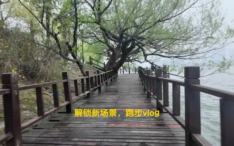 解锁新场景,轻松跑