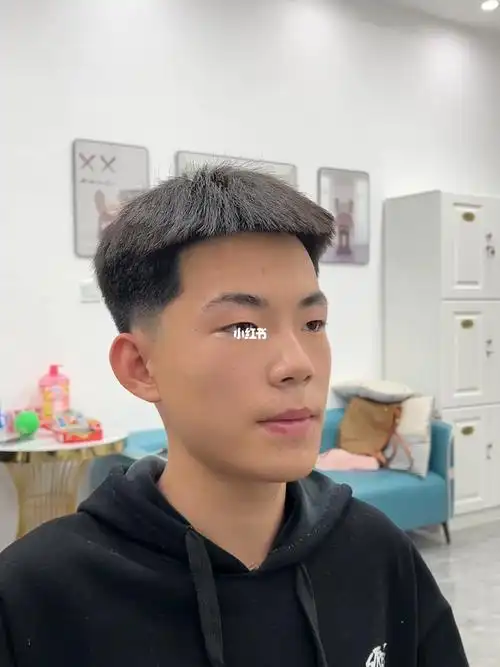 半盖半翘飞机头