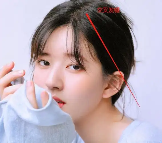 为何赵露思发量看起来那么浓密截图拉近三倍她的发缝懂了