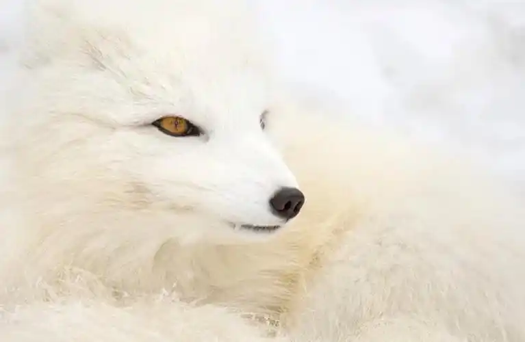 来生我要找到你 - 简书