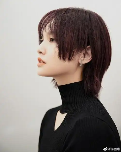 杨丞琳情人节晒帅气短发照网友这个发型太时髦了