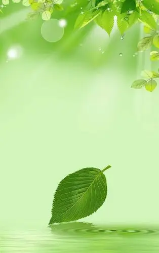 366_582竖版 竖屏