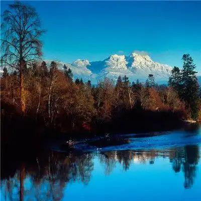 清新好看绿色系很优质的风景头像简单大方的有气质风景头像最新