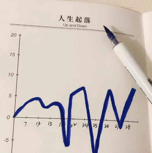 趁早day5人生起伏图