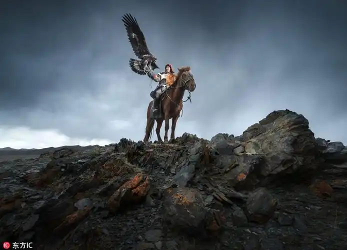 最后的蒙古猎鹰人:人类和鸟不可思议的联系 - 『 自然之家 区』