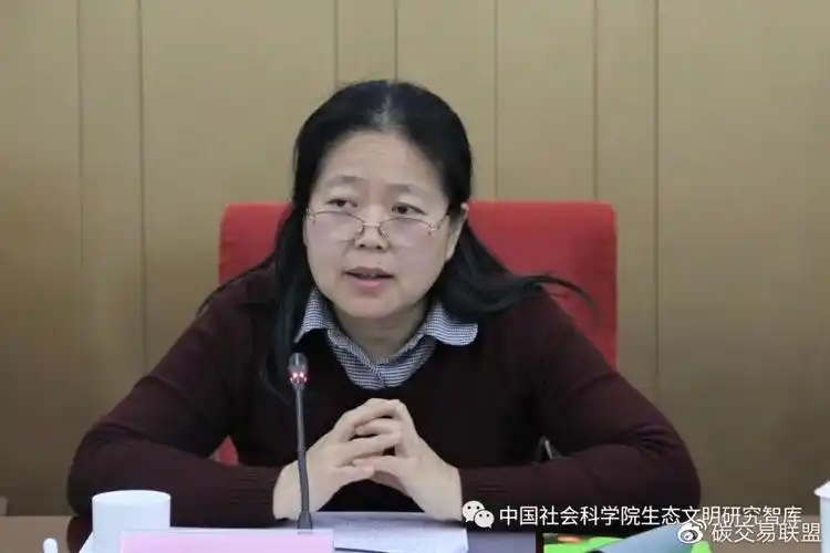 中国气象局科技司袁佳双副司长