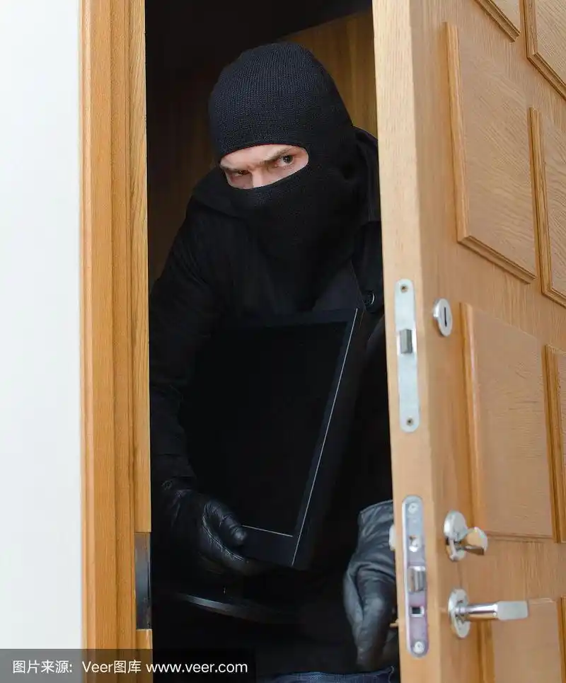 戴面具的男性窃贼