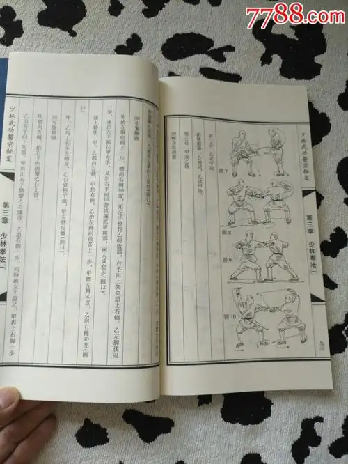 少林武功医宗秘笈【线装本】原箱原木盒【1999年首版】