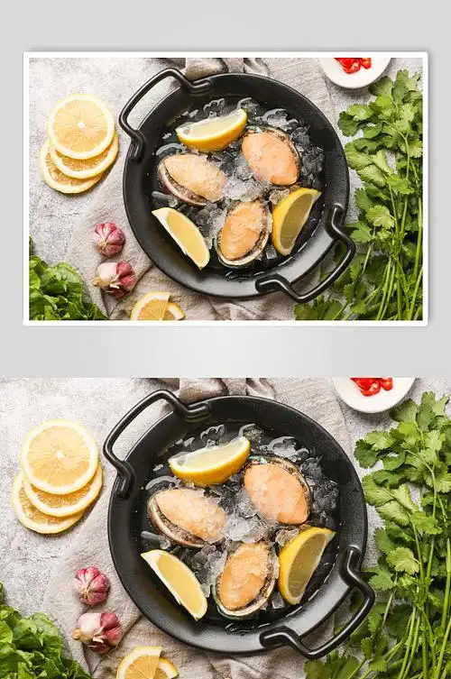 海货生鲜海产品水产海鲜鲍鱼摄影图片