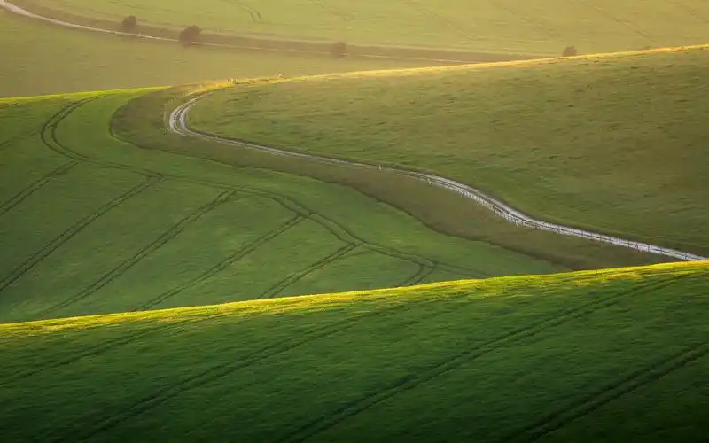 护眼绿色草原,高清图片,电脑桌面-壁纸族