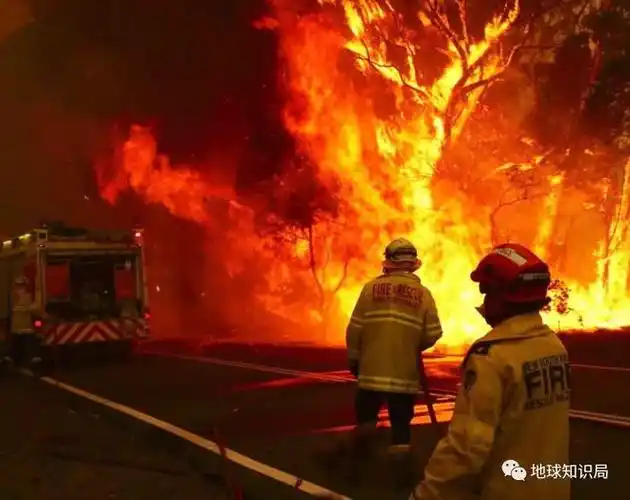 百万物种面临灭绝人类还能做什么