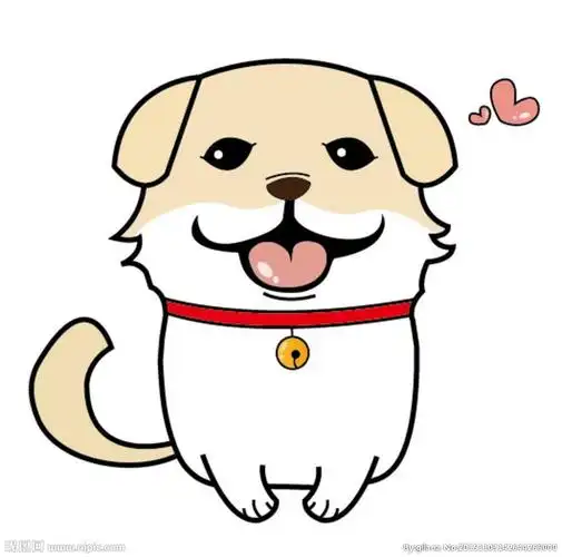 狗狗 萌 可爱 宠物 萌宠