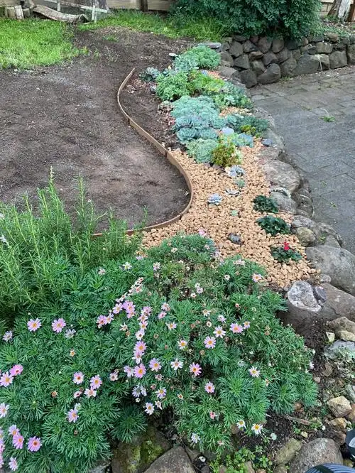 地栽多肉花园进行中