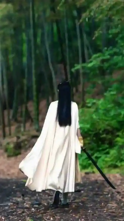 周翡女侠的背影太好看了期待赵丽颖的有匪啊