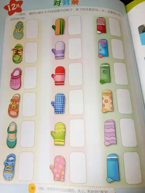 生活中配对的物品,生活用品功能性配对教案