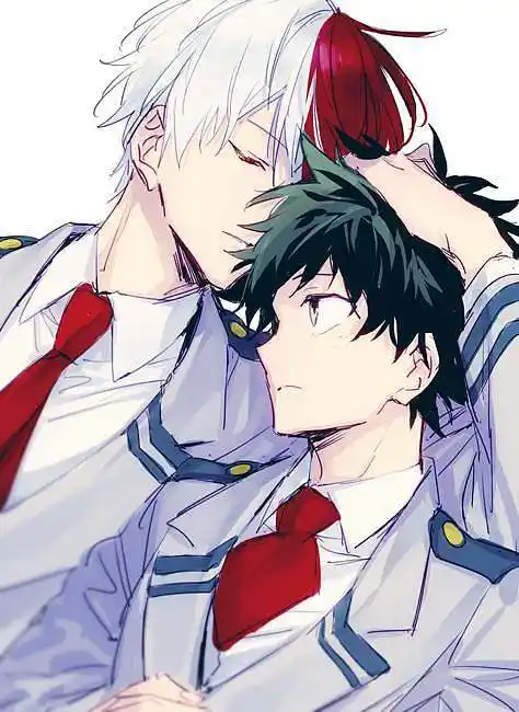 14:34:02#我的英雄学院##轰焦冻##绿谷出久##轰出#63喜欢腐向图片四十