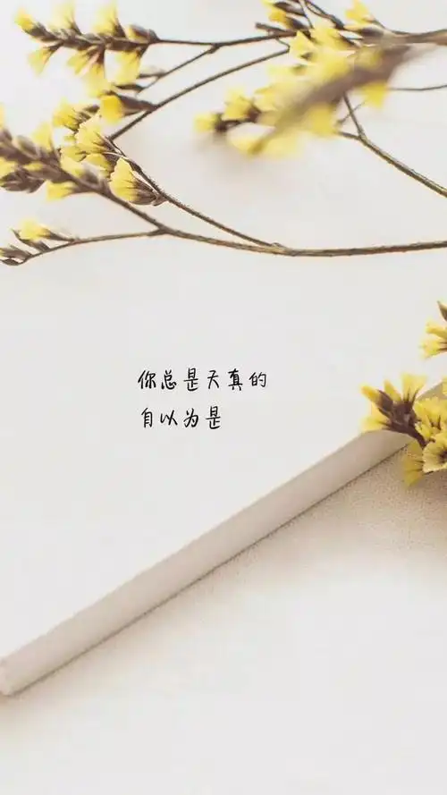 46张励志文字清新意境壁纸等着别人来爱你不如自己努力爱自己