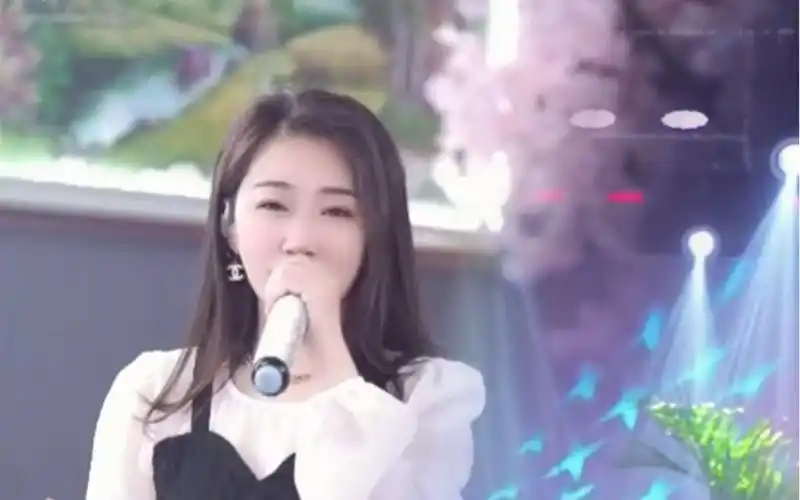 主播 歌手 刘天爱809胖虎 实力唱将,舒尔无线系统套装.