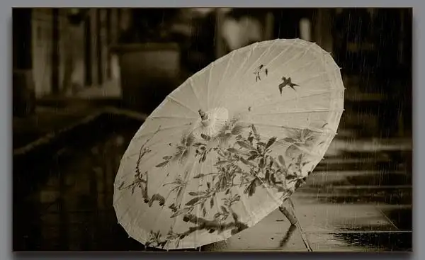 想找一张江南雨巷的照片,留着打着油纸伞的丁香姑娘的背影