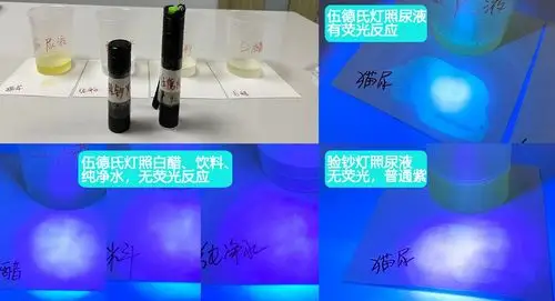 按这6步做就对了_尿液