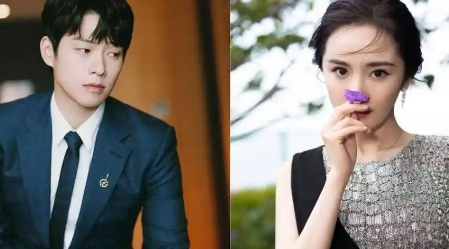 杨幂现任男友是谁 杨幂与魏大勋真的走到一起了吗_回应_绯闻_网友