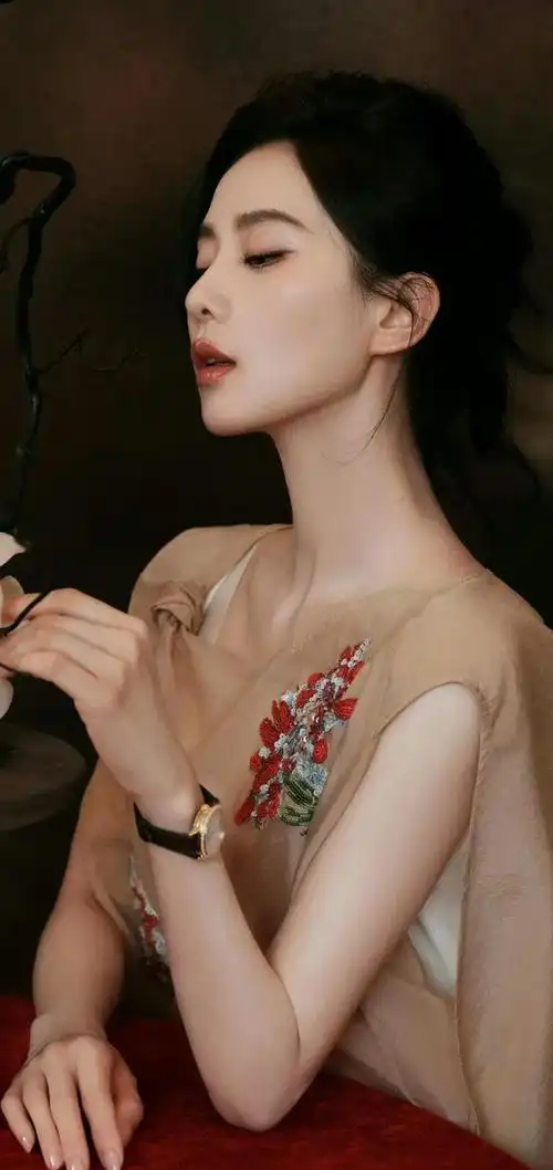 刘诗诗高清图片第2268期