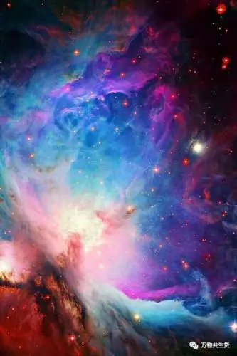 全屏超高清手机壁纸_2021最火手机壁纸全屏-rfid信息网