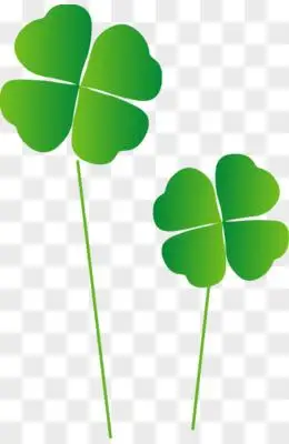 四叶草png矢量手绘四叶草标签pngai手绘四叶草分割线装饰元素pngpsd
