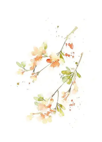 花草,水墨,封面,淡雅,唯美,插画,古风