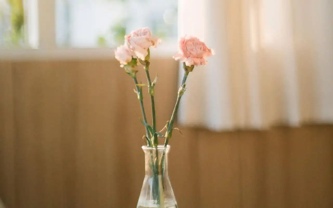 小清新唯美高清电脑桌面壁纸图片